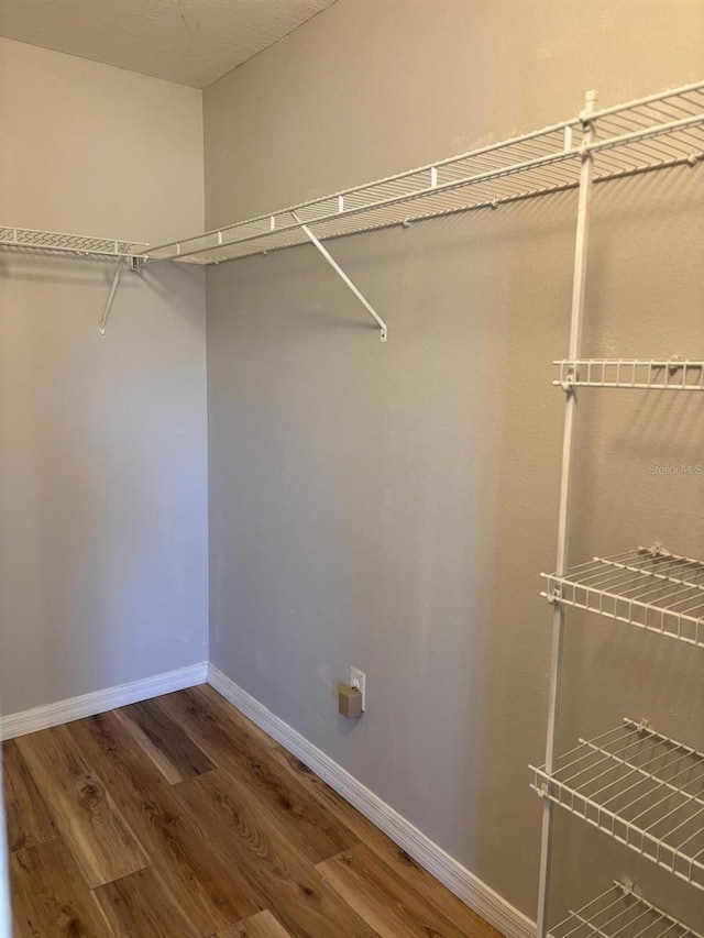 walk in closet featuring hardwood / wood-style floors