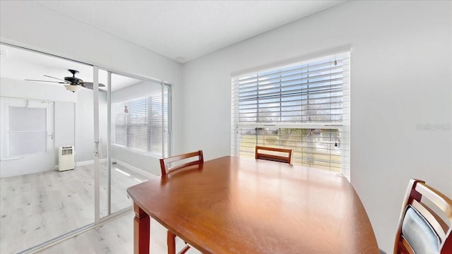 dining area with ceiling fan and light hardwood / wood-style flooring