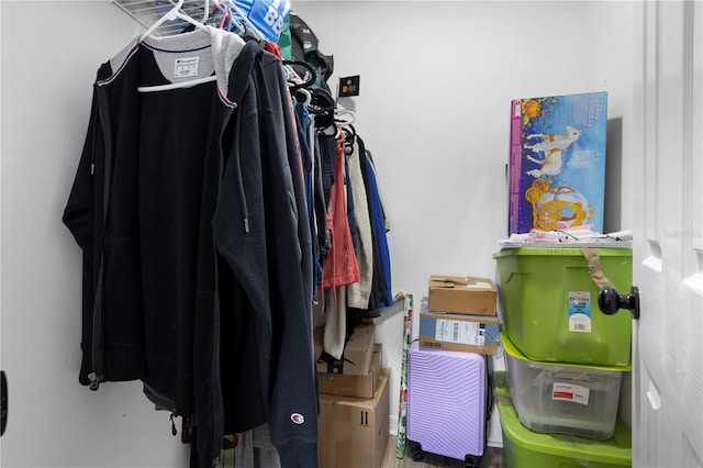 view of spacious closet