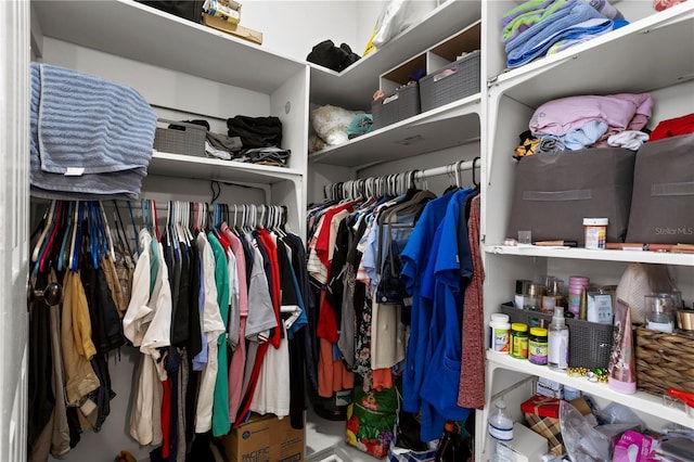 view of spacious closet