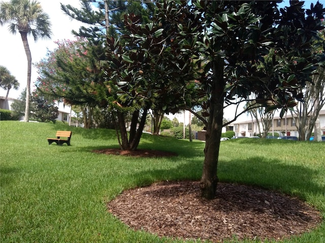 view of home's community featuring a yard