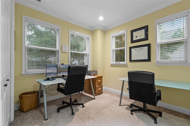 carpeted home office with crown molding