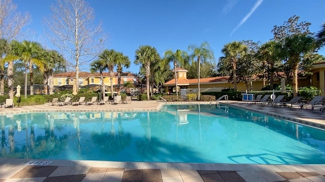 view of pool featuring a patio area