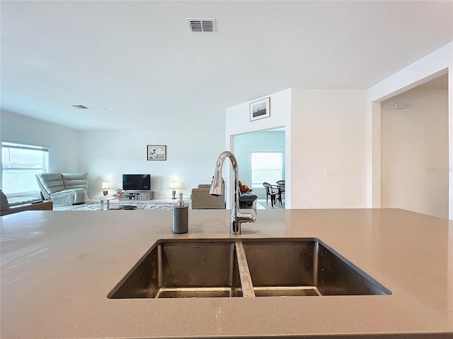 kitchen with a healthy amount of sunlight and sink