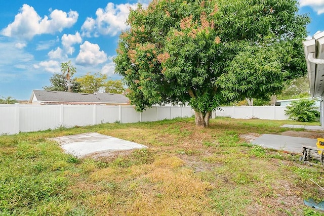 view of yard with a patio area