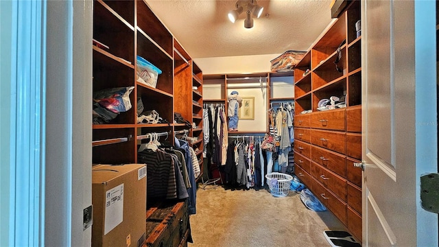 spacious closet featuring carpet