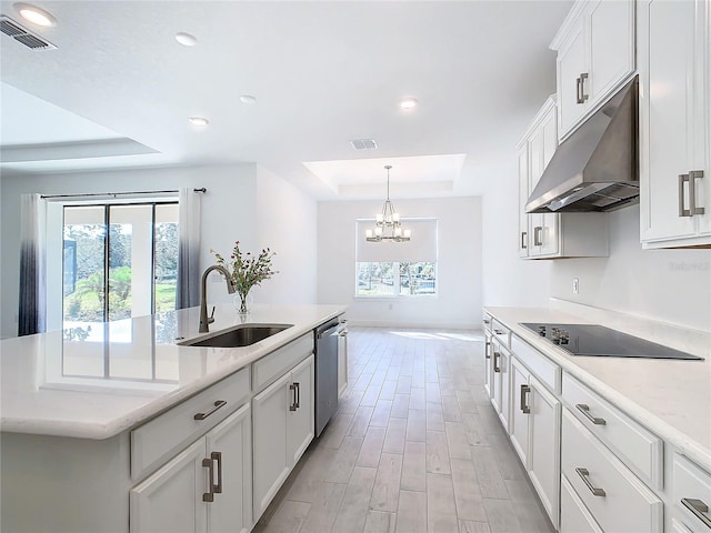 kitchen with a tray ceiling, plenty of natural light, and sink