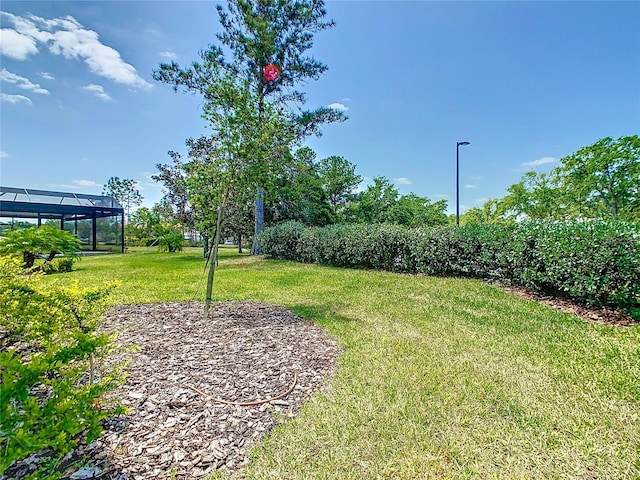 195 Casavista Dr, Kissimmee, FL 34759 - view of yard