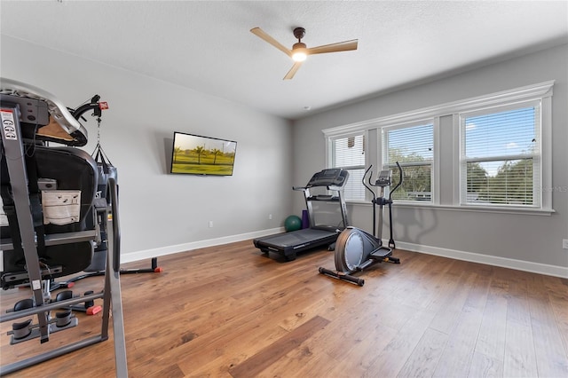 exercise room with ceiling fan and hardwood / wood-style flooring