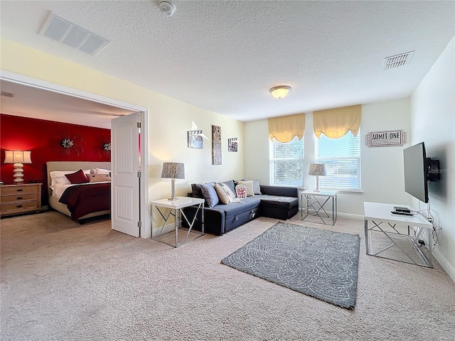 living room with carpet and a textured ceiling