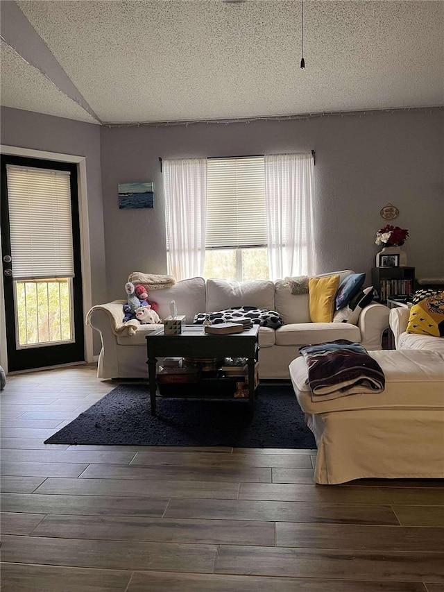 living room with hardwood / wood-style floors, a textured ceiling, and a healthy amount of sunlight