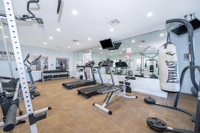 gym featuring carpet