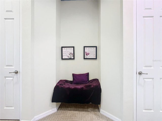 sitting room featuring carpet flooring