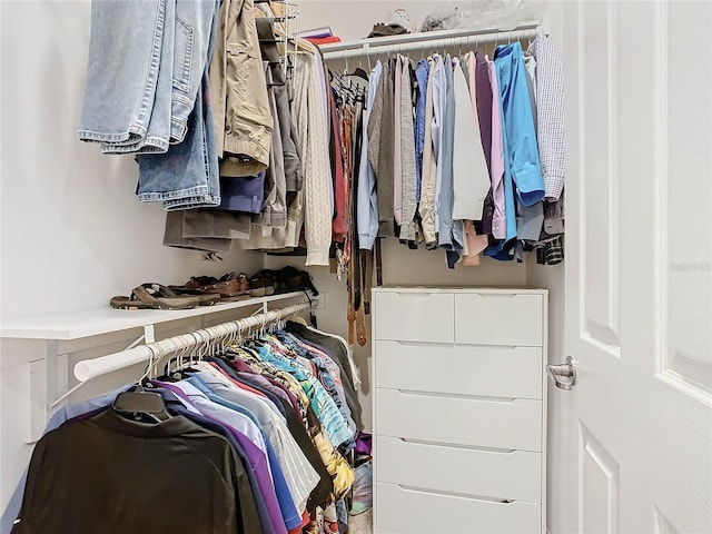 view of spacious closet