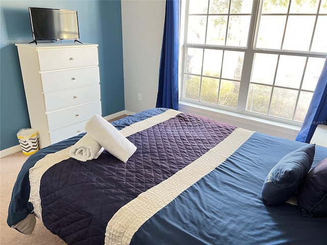 bedroom with carpet and multiple windows