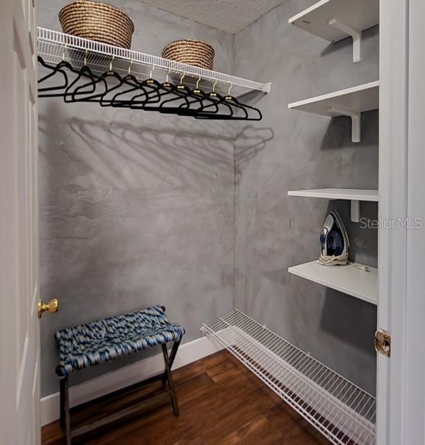 walk in closet featuring wood-type flooring