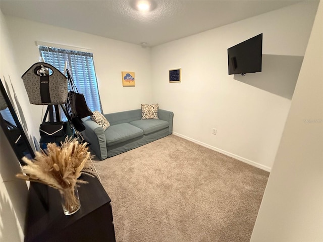 carpeted living room with a textured ceiling