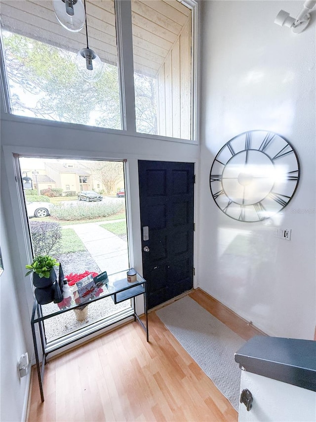 entryway with hardwood / wood-style flooring and a high ceiling