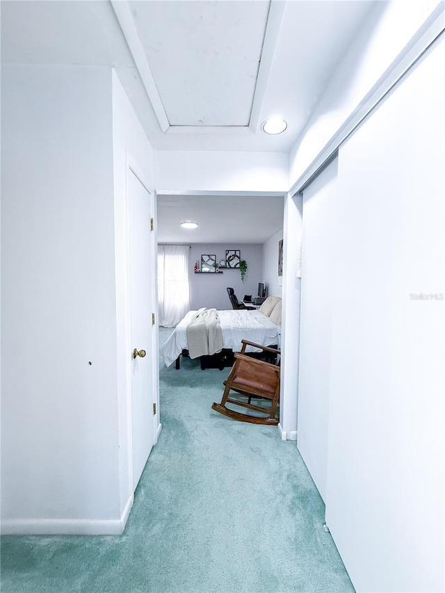 bedroom featuring carpet flooring