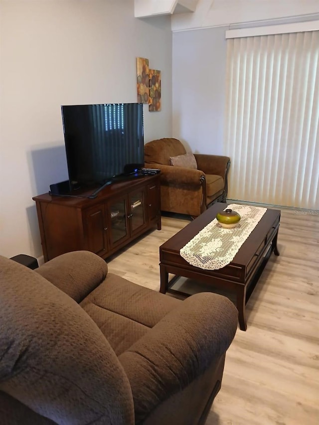 living room featuring light wood-type flooring