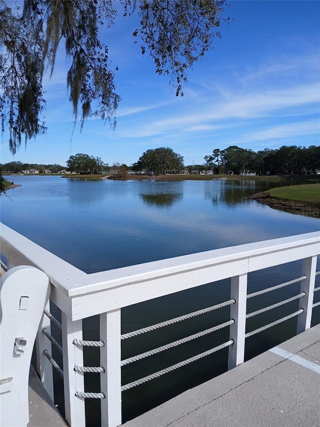 view of water feature