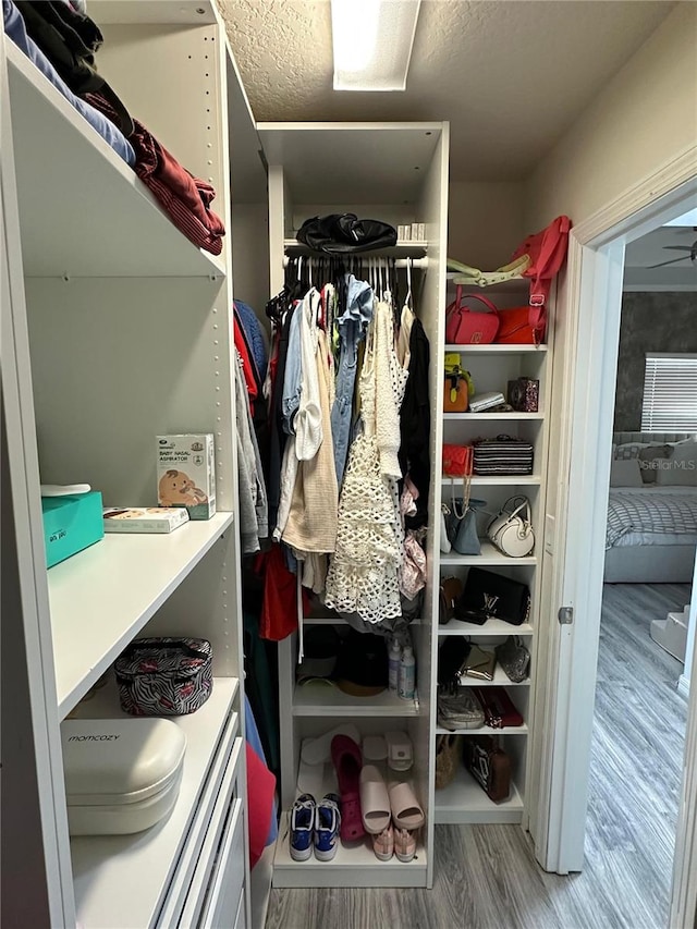 walk in closet with wood-type flooring