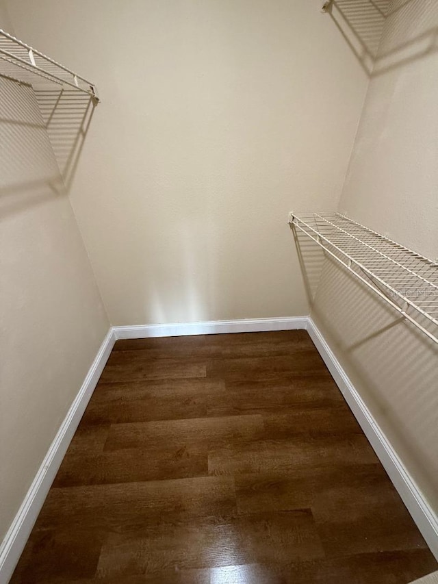 spacious closet featuring hardwood / wood-style flooring