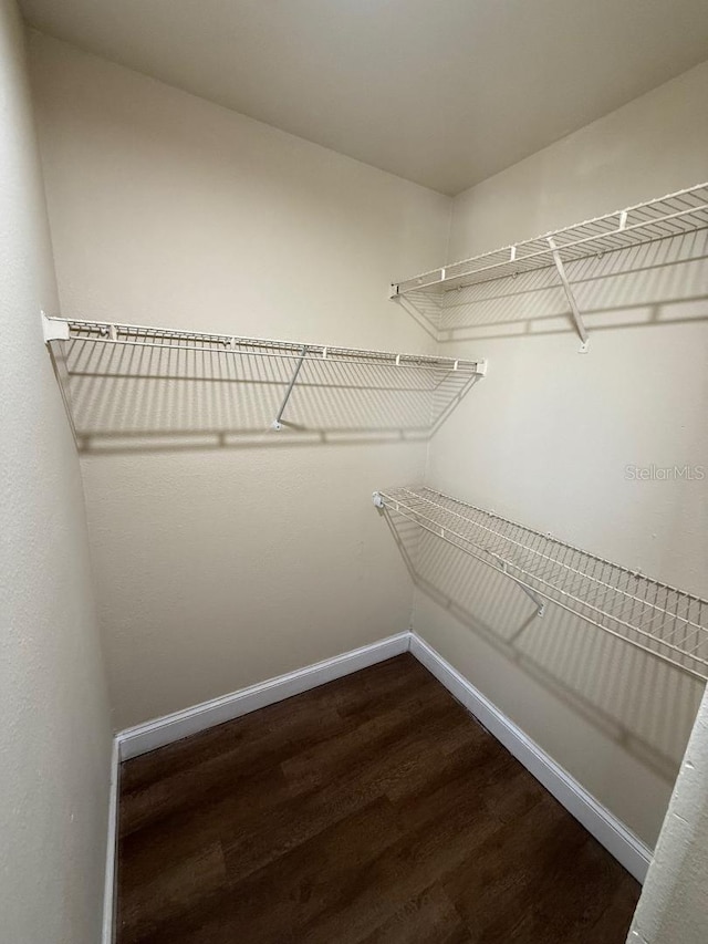 spacious closet featuring dark wood-type flooring