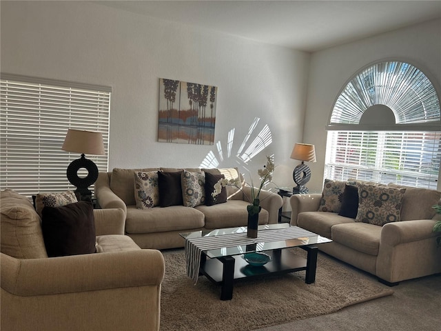 view of carpeted living room