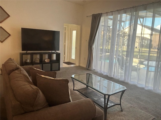 carpeted living room with a wealth of natural light