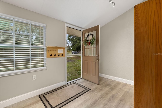 foyer entrance featuring plenty of natural light and light wood-type flooring