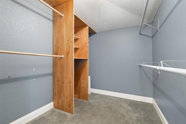 walk in closet featuring carpet floors