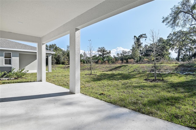 view of yard featuring a patio area