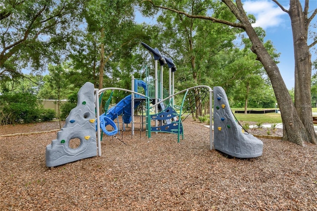 view of jungle gym