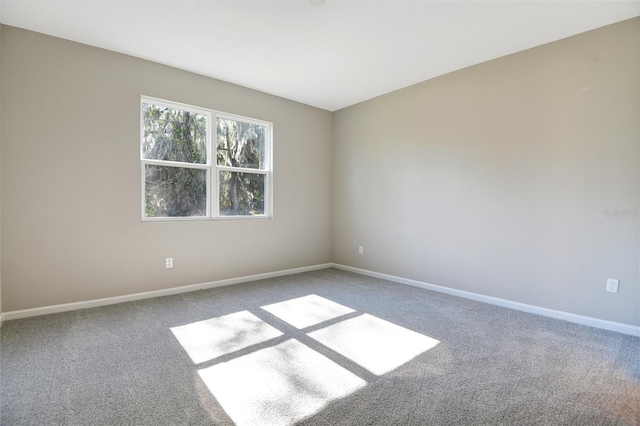 unfurnished room featuring carpet