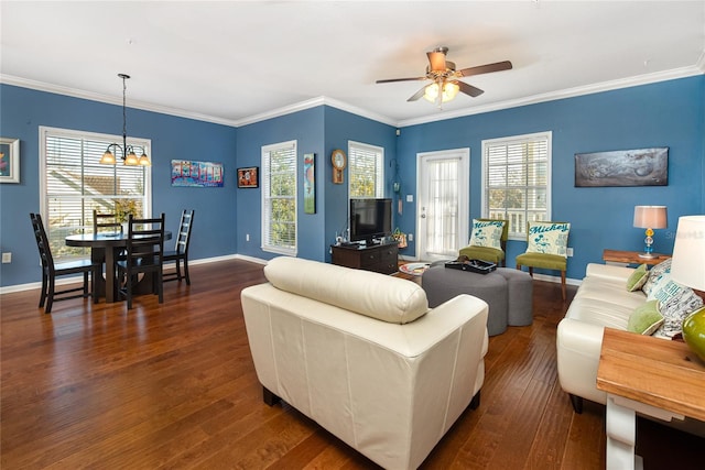 living room with ceiling fan with notable chandelier, dark hardwood / wood-style floors, and crown molding