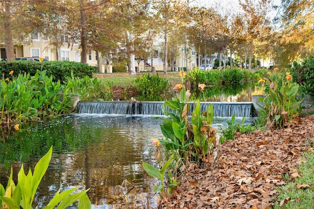 view of property's community featuring a water view