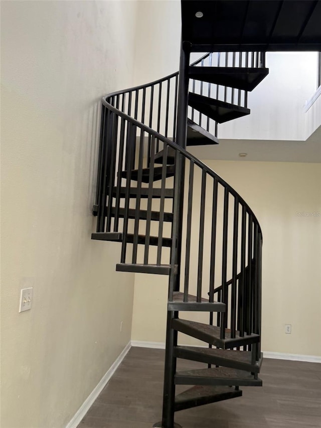 staircase featuring hardwood / wood-style flooring