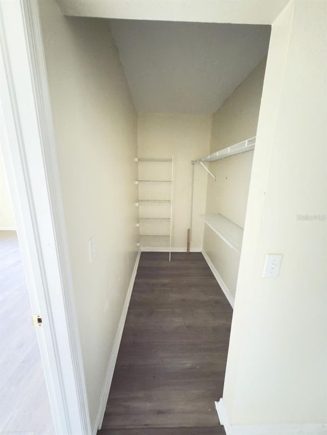 spacious closet featuring hardwood / wood-style flooring