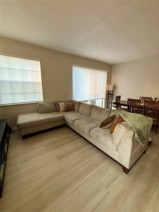 living room with a textured ceiling and light wood-type flooring