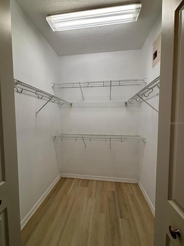 spacious closet featuring light wood-type flooring