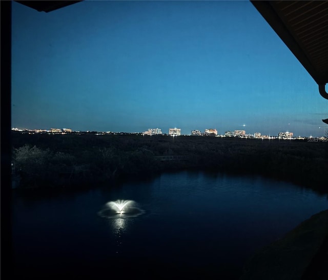 view of water feature featuring a view of city