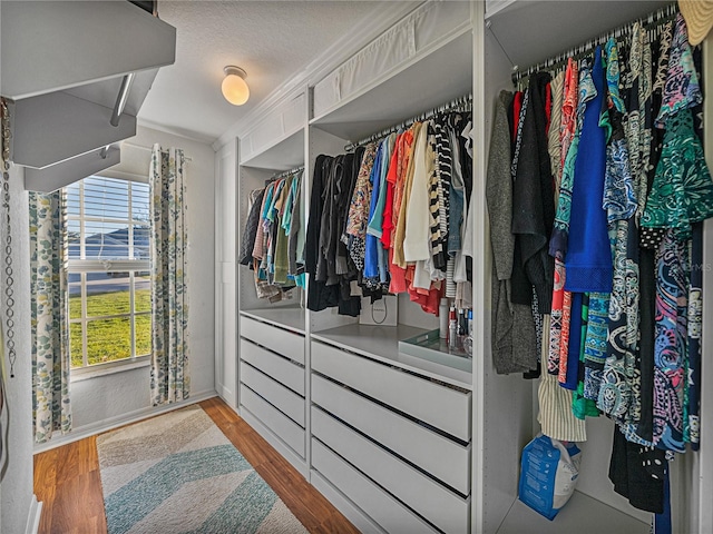 walk in closet with light hardwood / wood-style floors