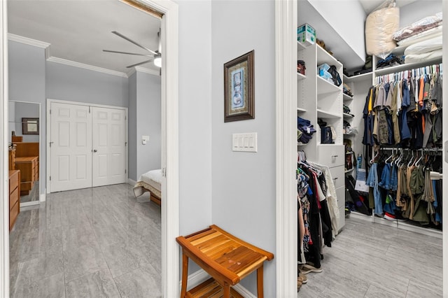 walk in closet with light hardwood / wood-style floors and ceiling fan