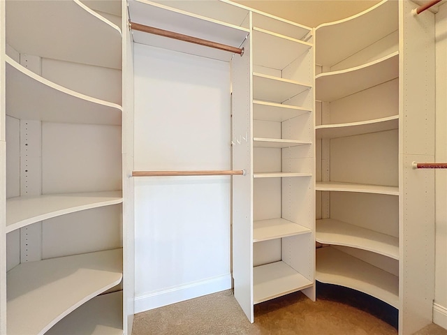 walk in closet featuring carpet