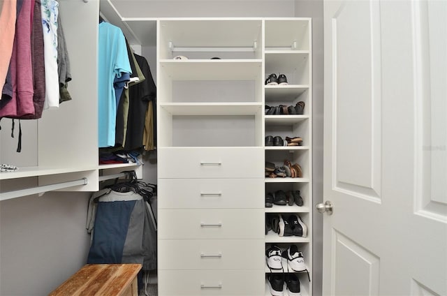 view of walk in closet