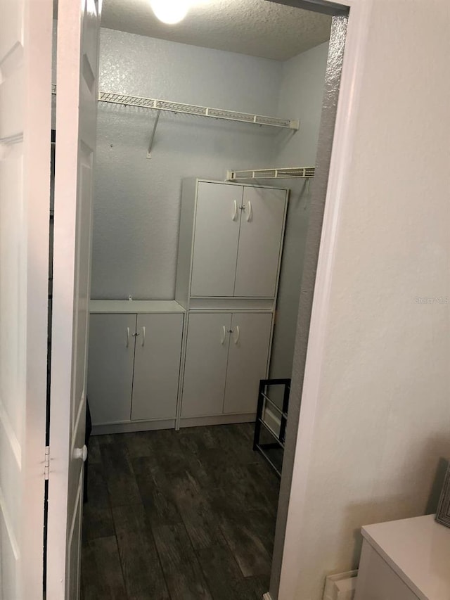 spacious closet with dark wood-type flooring