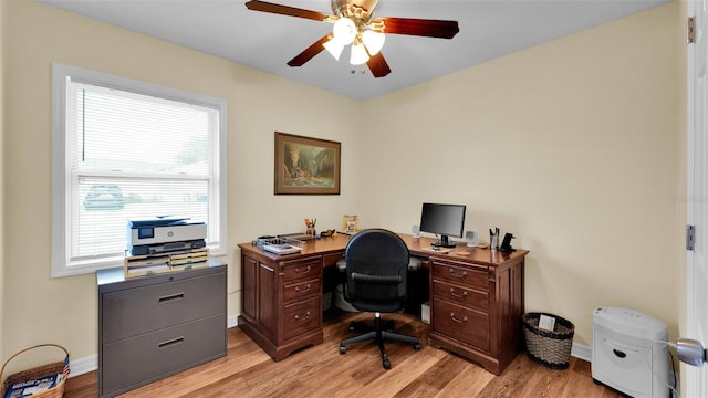 office with ceiling fan and light hardwood / wood-style flooring