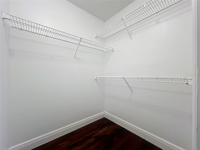 spacious closet featuring hardwood / wood-style floors