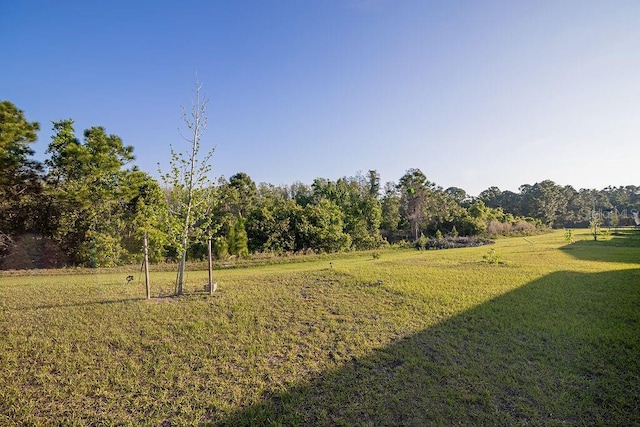 view of yard featuring a rural view